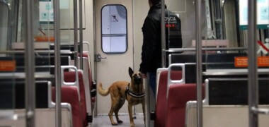 Foto portada: un moment de les pràctiques amb la unitat canina. Autor: ACN.