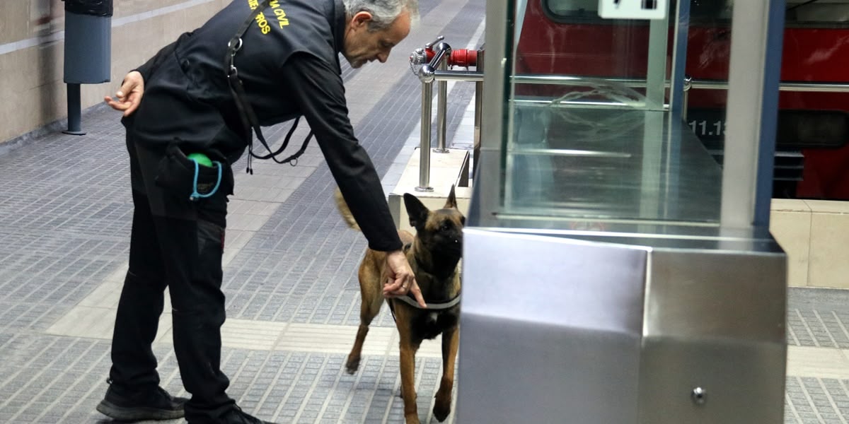 Foto portada: un moment de les pràctiques amb la unitat canina. Autor: ACN.