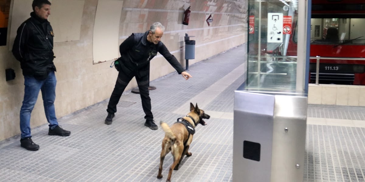 Foto portada: un moment de les pràctiques amb la unitat canina. Autor: ACN.