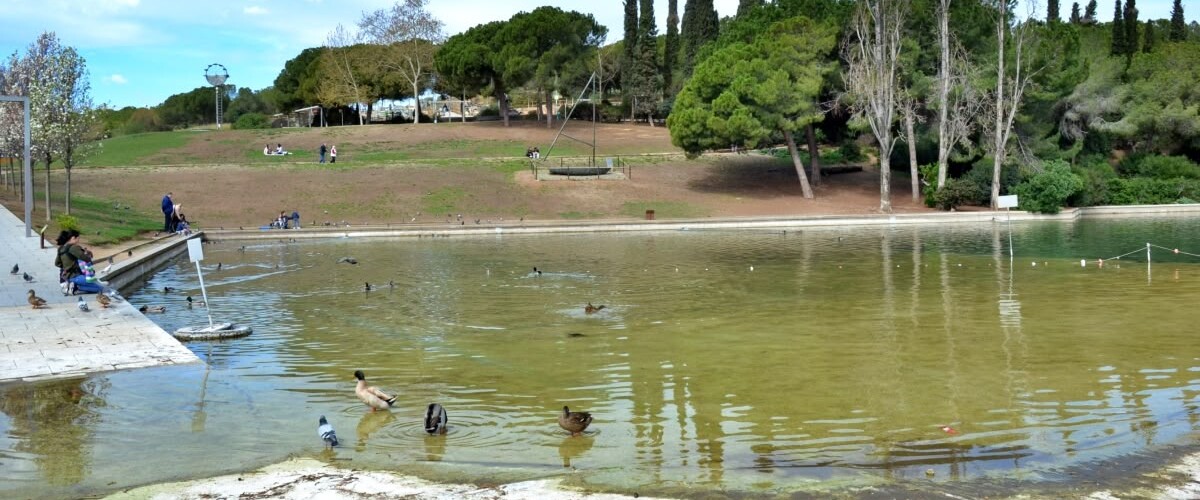 El llac del parc de Catalunya, el 27 de març de 2024. Autor: J.d.A.