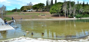 El llac del parc de Catalunya, el 27 de març de 2024. Autor: J.d.A.