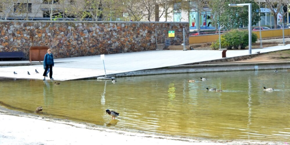 El llac del parc de Catalunya, el 27 de març de 2024. Autor: J.d.A.