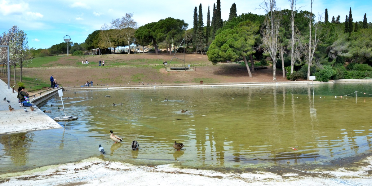 Comencen a buidar el llac artificial del parc de Catalunya