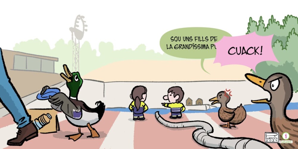'Els ànecs del llac', per Surroca (28/4/24)