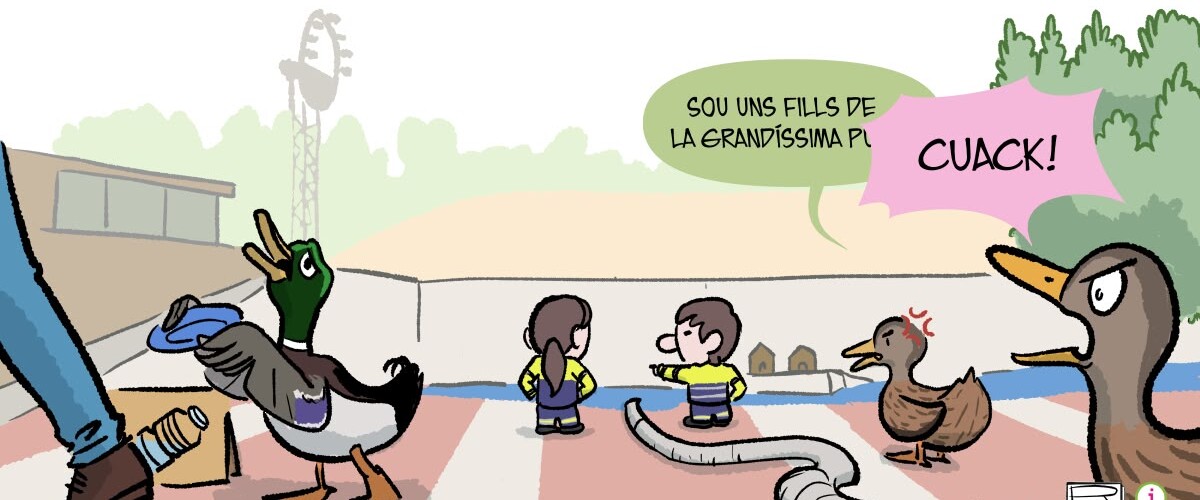 'Els ànecs del llac', per Surroca (28/4/24)
