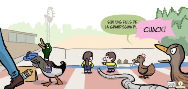 'Els ànecs del llac', per Surroca (28/4/24)