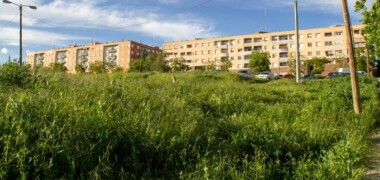 Complex Roureda