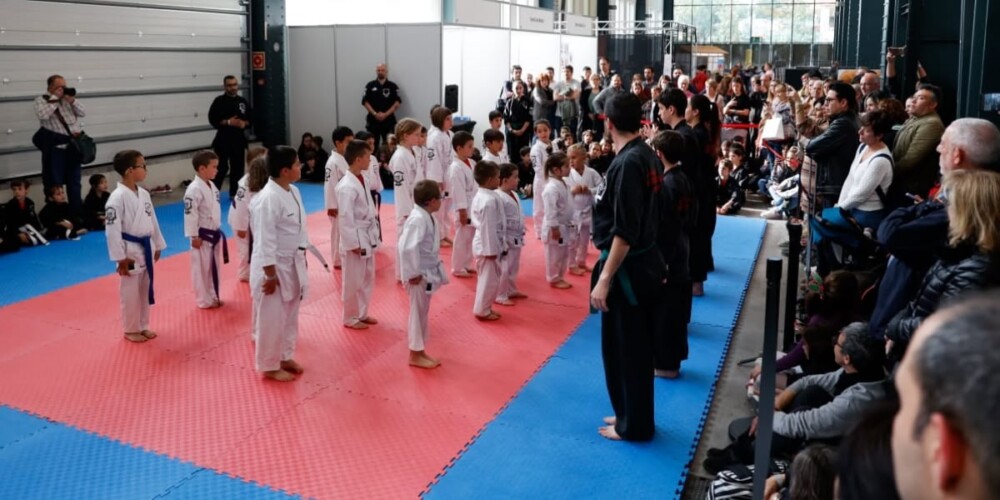 Foto portada: un moment de la segona edició de la fira Sakura Matsuri. Autor: David Jiménez.