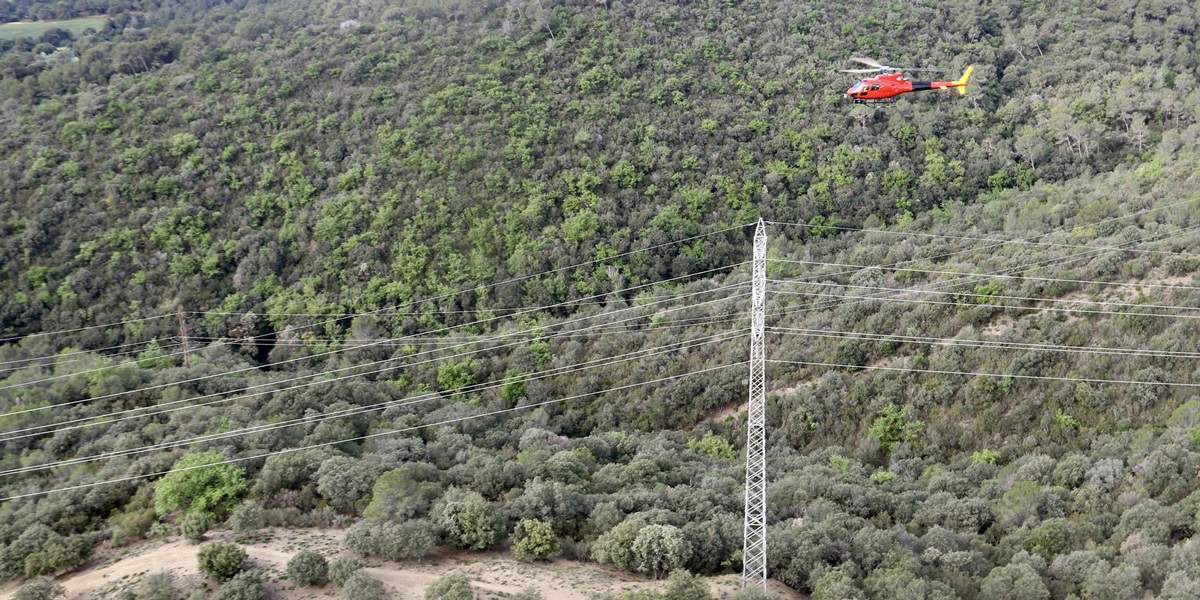Un helicòpter sobre els boscos de Torrebonica. Autor: ACN. 