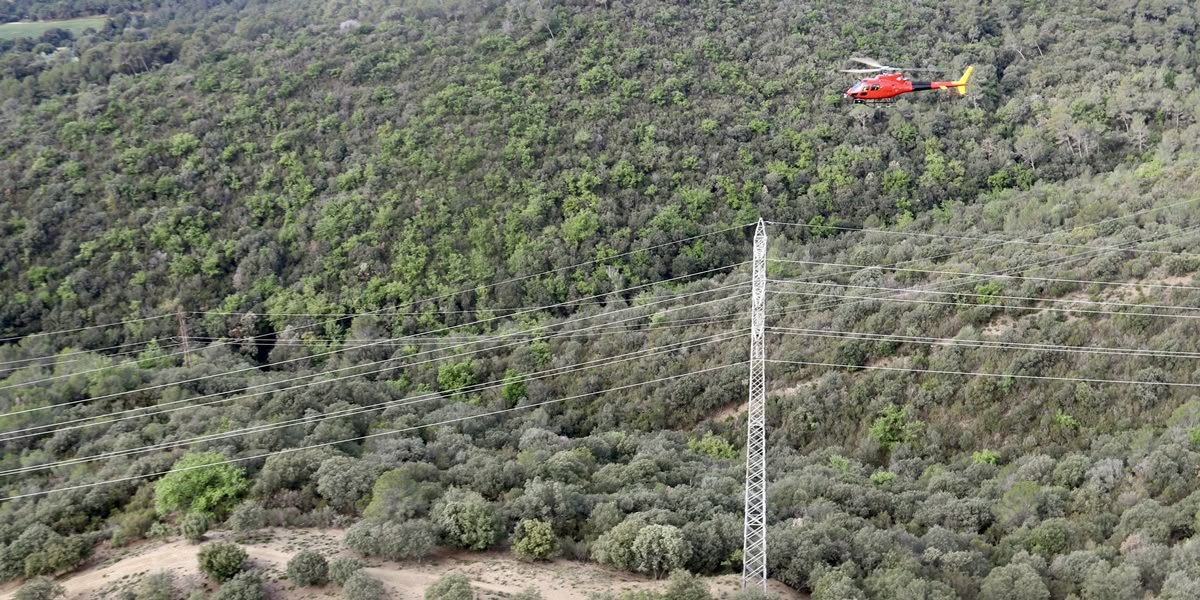 Un helicòpter sobre els boscos de Torrebonica. Autor: ACN. 