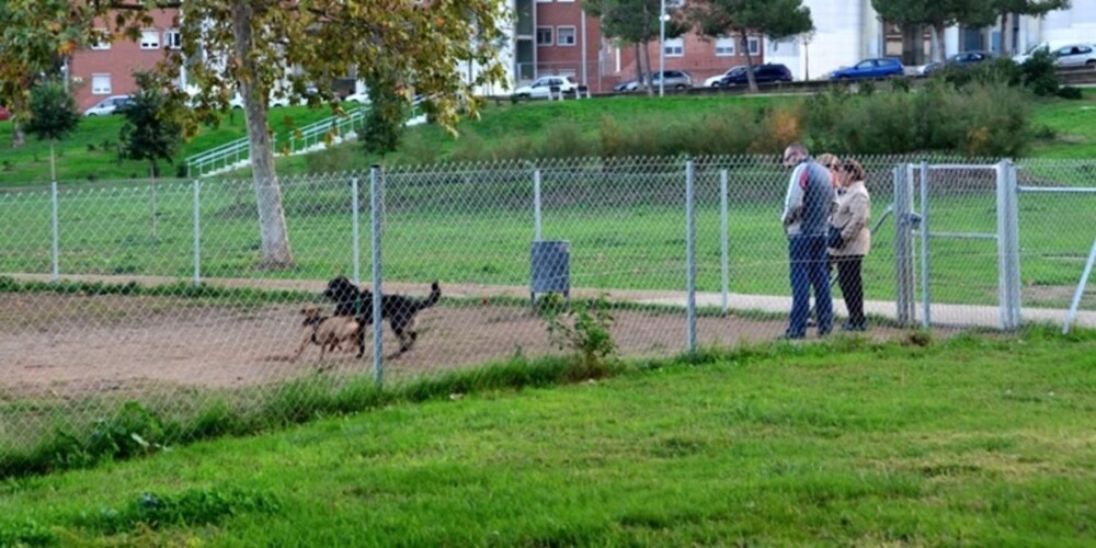 Zona de gossos al Parc del Nord. Autor: David B.
