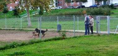 Zona de gossos al Parc del Nord. Autor: David B.