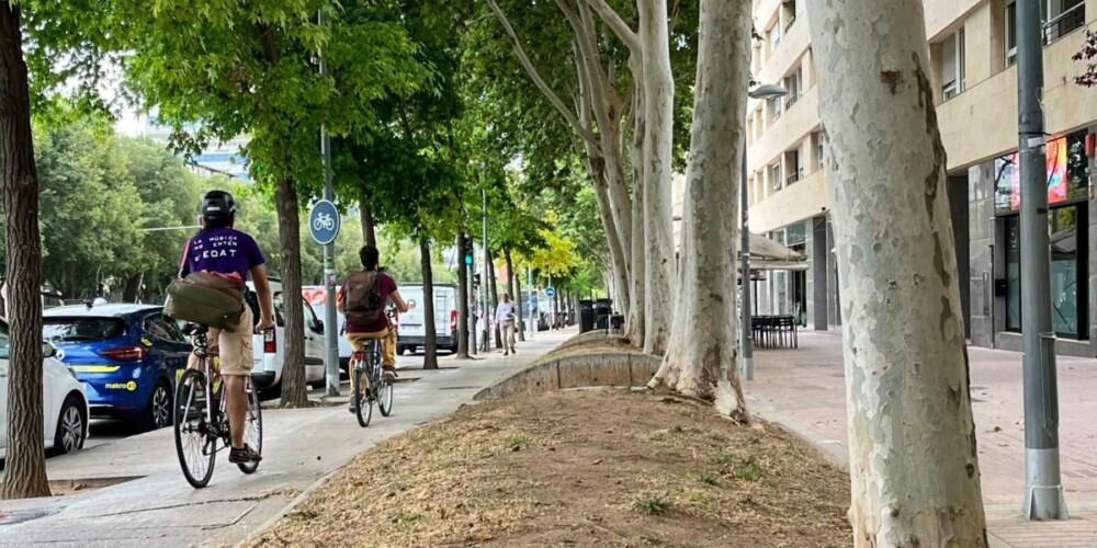 Ciclistes, al costat de les parterres de l'Eix Macià. Autor: Jordi M.