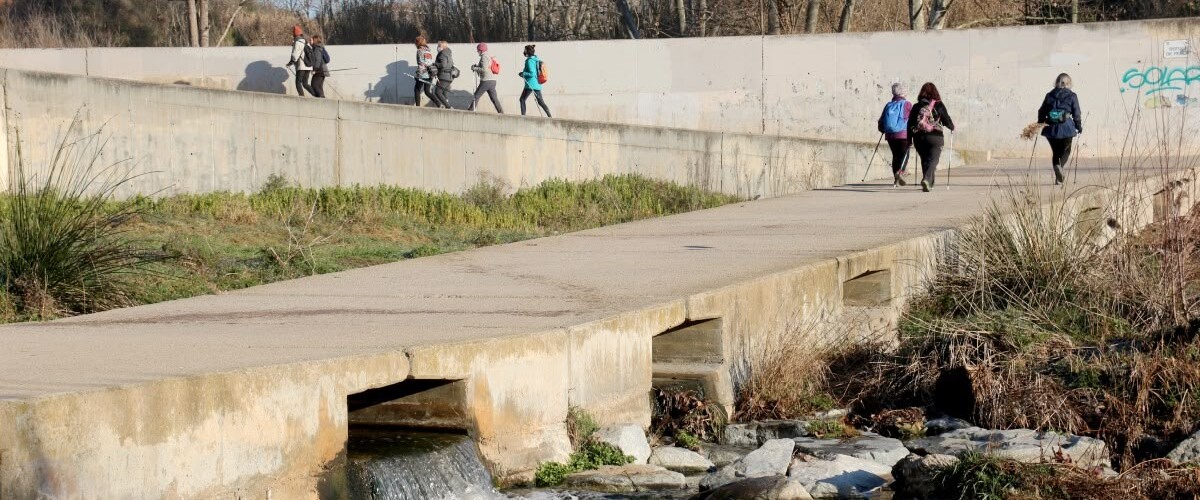 Una de les passeres del riu Ripoll, en una imatge d'arxiu. Autor: ACN