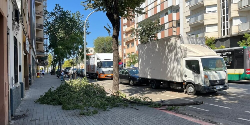 Foto portada: arbre caigut al Passeig Comerç, aquest dissabte. Autor: Jordi M.