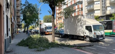 Foto portada: arbre caigut al Passeig Comerç, aquest dissabte. Autor: Jordi M.