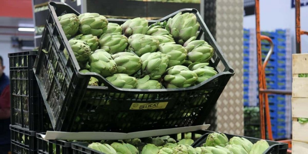 Carxofes al mercat, en una imatge d'arxiu. Autor: ACN