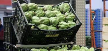 Carxofes al mercat, en una imatge d'arxiu. Autor: ACN