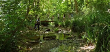 Foto portada: el Torrent de Colobrers, el 30 de maig de 2021. Autor: J.d.A.