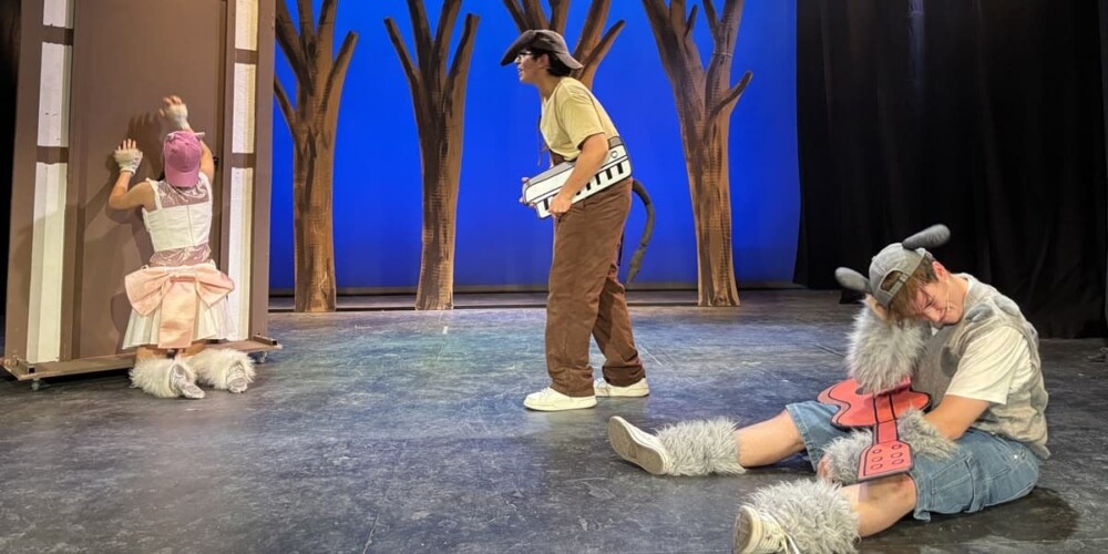 Els músics de Bremen a l'escenari. Autor: Teatre Sant Vicenç