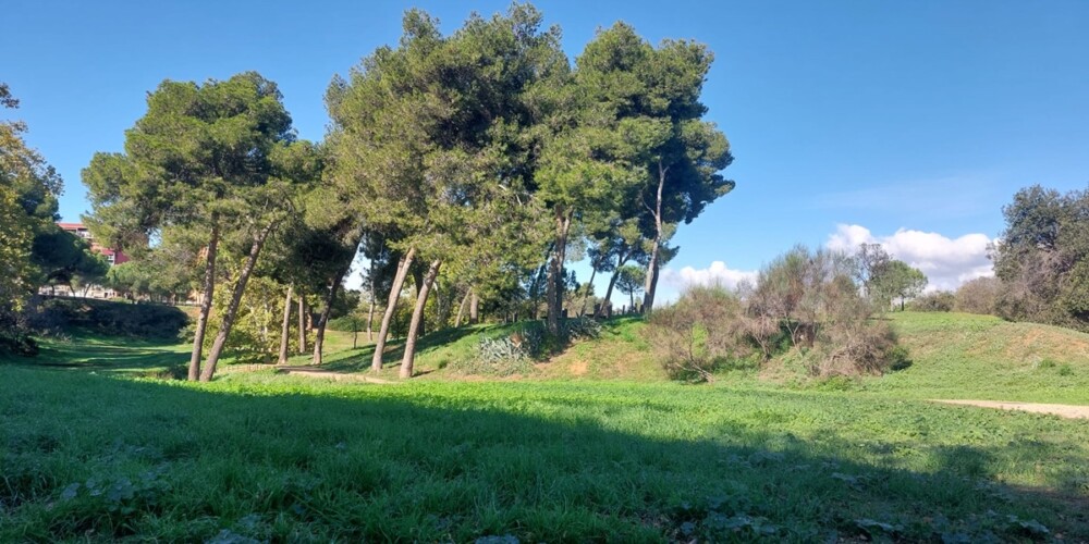 Foto de portada: Parc de la Romeua. Autor: Albert P