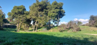 Foto de portada: Parc de la Romeua. Autor: Albert P