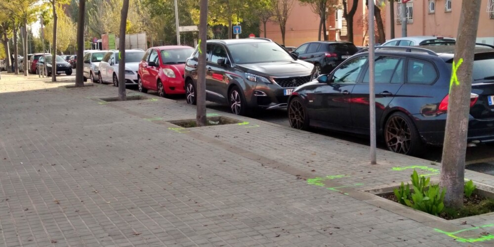 Foto portada: arbres marcats al Passeig de Sant Bernat. Autor: AV Torreguitart via Facebook.