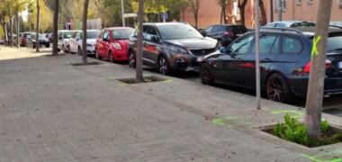 Foto portada: arbres marcats al Passeig de Sant Bernat. Autor: AV Torreguitart via Facebook.
