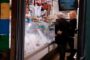 L’atur se situa en la seva xifra més baixa en 17 anys