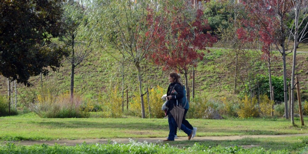 El Parc del Nord, en l'acte d'inauguració, el 24 de novembre de 2024. Autor: J.d.A.