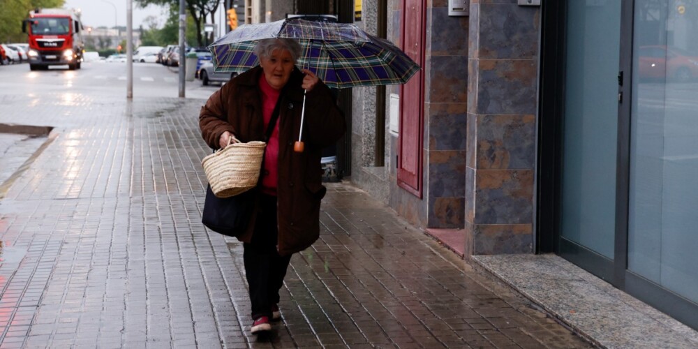 Pluja, el 4 de novembre de 2024, a Torre-romeu. Autor: D.Jiménez.