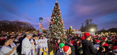 Foto de portada: Arbre de Nadal del Taulí. Autor: Cedida