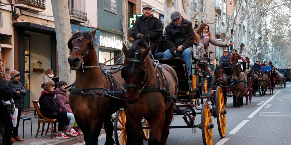 Una imatge de la Passada de Sant Antoni Abat, el 18 de gener de 2025. Autora: Dihor.