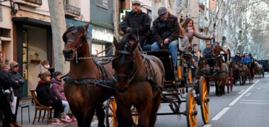 Una imatge de la Passada de Sant Antoni Abat, el 18 de gener de 2025. Autora: Dihor.