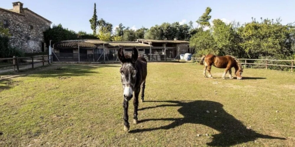 Foto portada: la granja de la Fundació Caixa Sabadell a la Masia de Can Deu. Foto: Ajuntament de Sabadell.