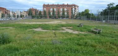 El futur Jardí del Sud. Autor: J.d.A.