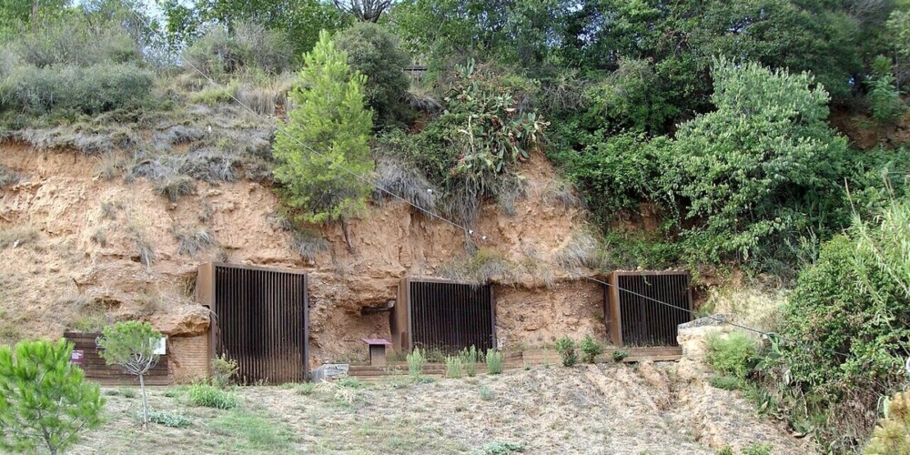 Les coves de Sant Oleguer, en una imatge d'arxiu. Font: Viquipèdia.