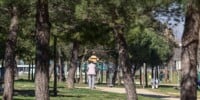 El Parc Central del Vallès, un dels boscos urbans, fa un temps. Autor: M. Tornel