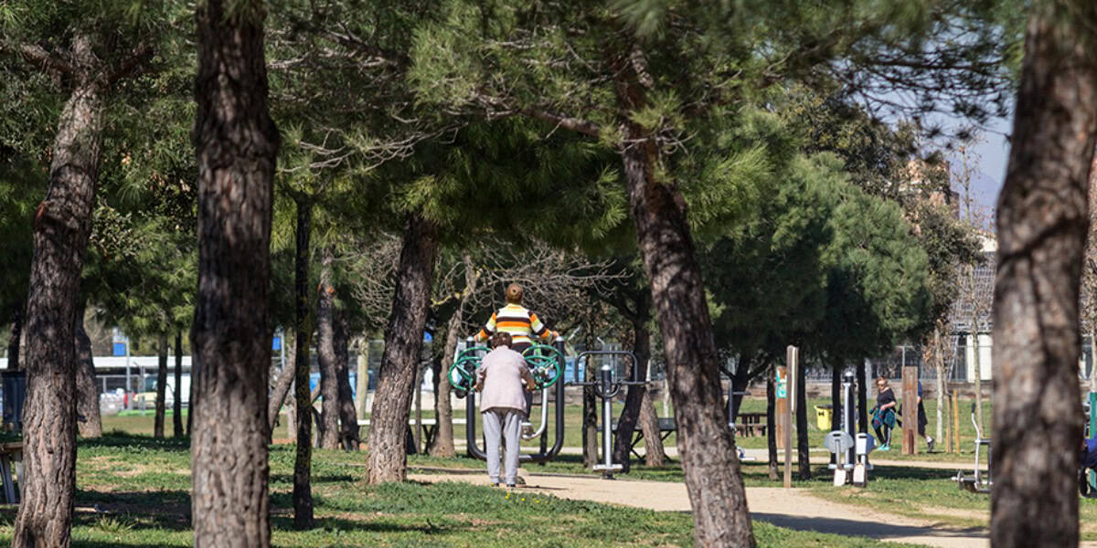 El Parc Central del Vallès, un dels boscos urbans, fa un temps. Autor: M. Tornel