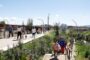 Gran ambient a l’estrena del Parc de les Aigües