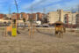5 claus del nou Parc de les Aigües, que s’inaugura diumenge per fi