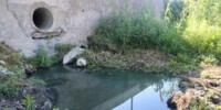 Espai on l'ADENC denuncia que s'hi han fet abocaments al riu Ripoll. Autor: ACN.