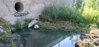 Espai on l'ADENC denuncia que s'hi han fet abocaments al riu Ripoll. Autor: ACN.