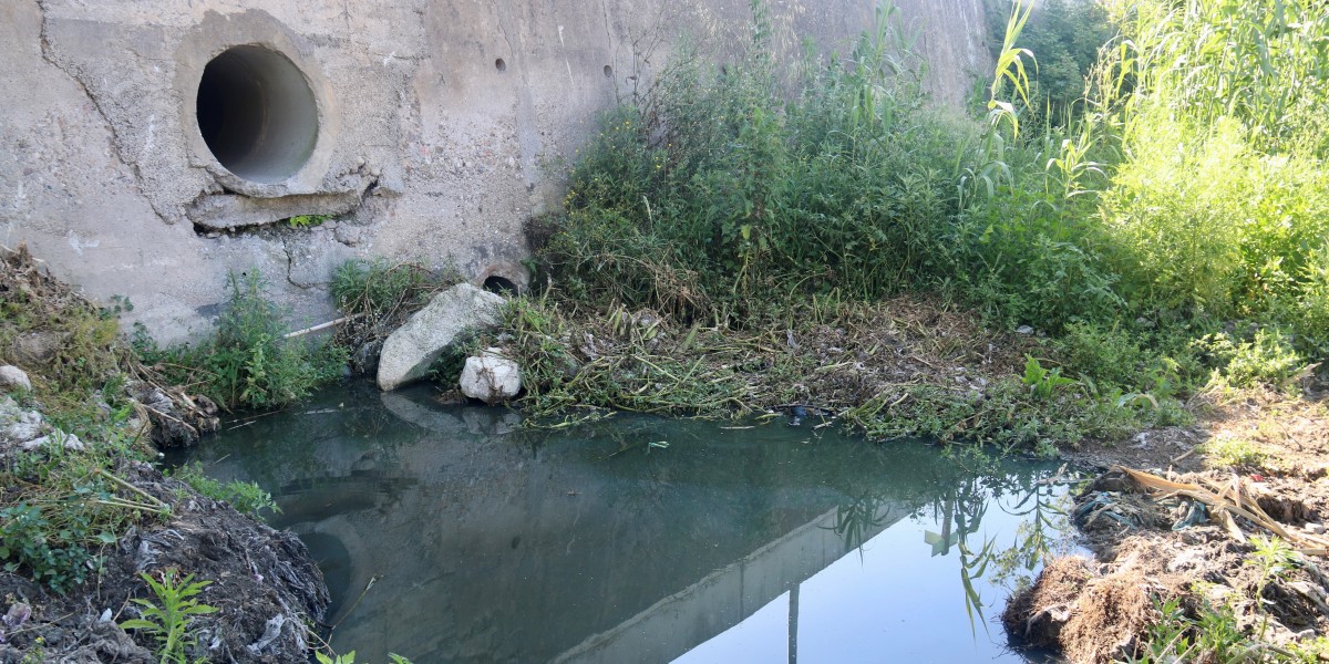 Espai on l'ADENC denuncia que s'hi han fet abocaments al riu Ripoll. Autor: ACN.
