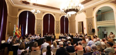 Un moment del ple del Principal. Autor: D.Jiménez.