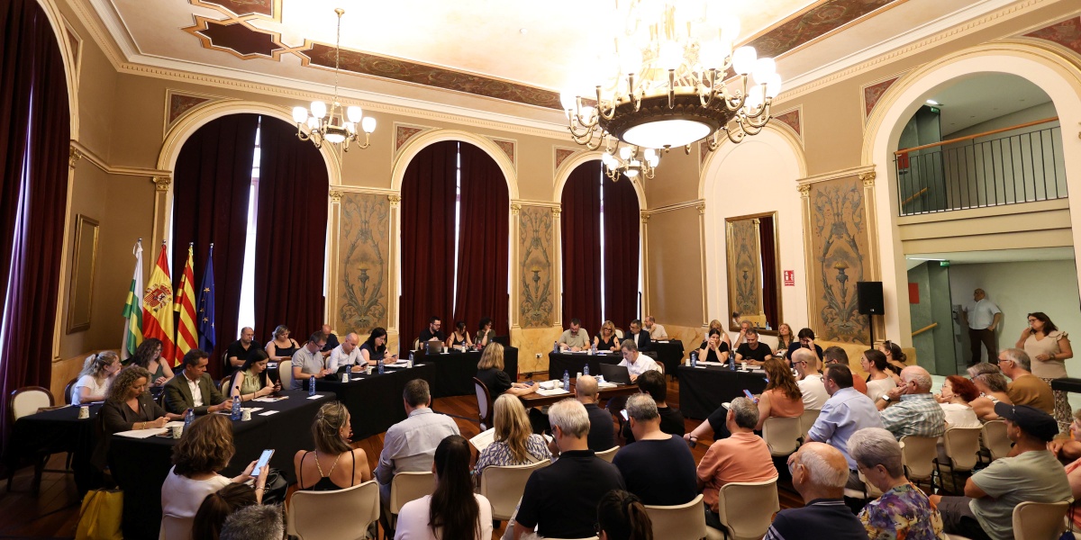 Un moment del ple del Principal. Autor: D.Jiménez.